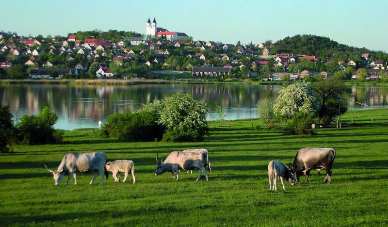 Október 23. hosszú hétvége Október 23. hosszú hétvége