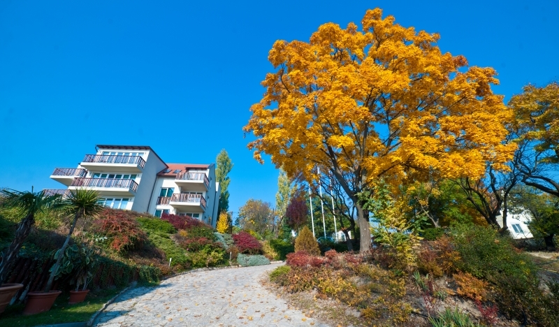 Wellness action in Autumn Wellness action in Autumn