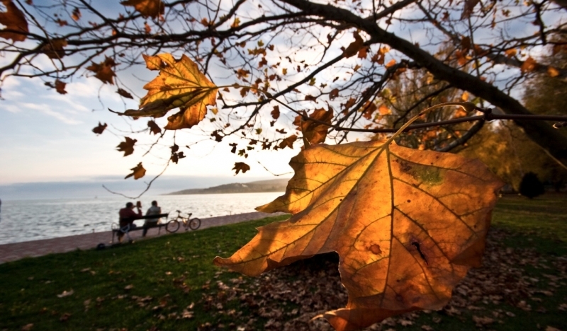 Wellness action in Autumn Wellness action in Autumn